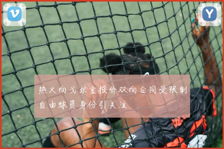 热火向戈尔金报价双向合同受限制自由球员身份引关注