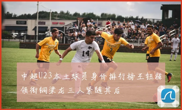 中超U23本土球员身价排行榜王钰栋领衔铜梁龙三人紧随其后