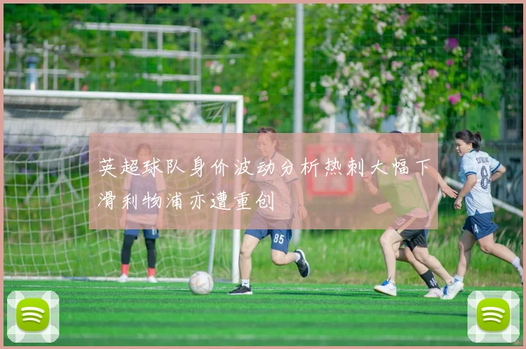 英超球队身价波动分析热刺大幅下滑利物浦亦遭重创